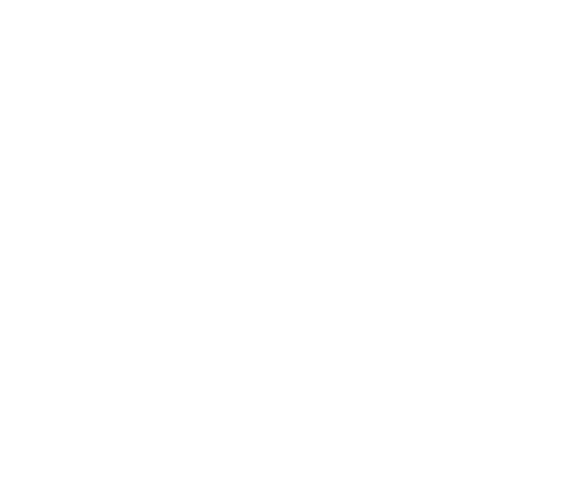 Logo schloss salem wht