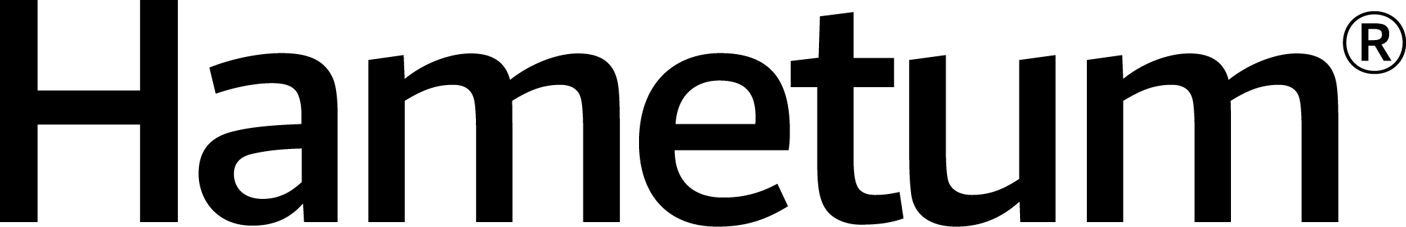 Hametum logo schwarz